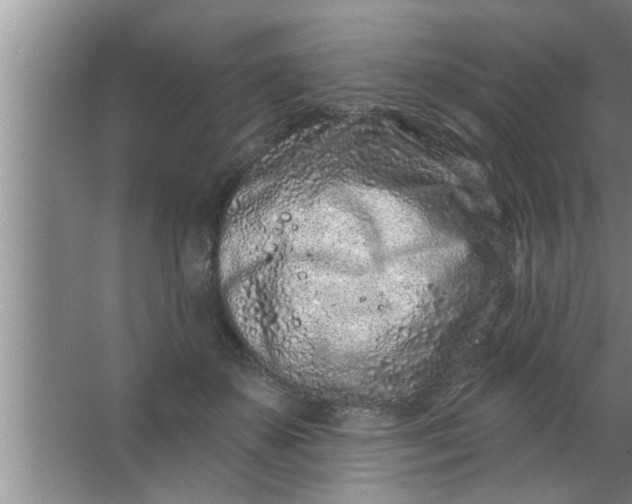 X0000063480507200602031929