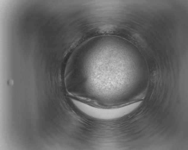 X0000063480508200602031929