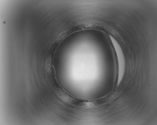 X0000063480509200602031929