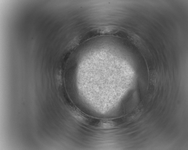 X0000063480510200602031929