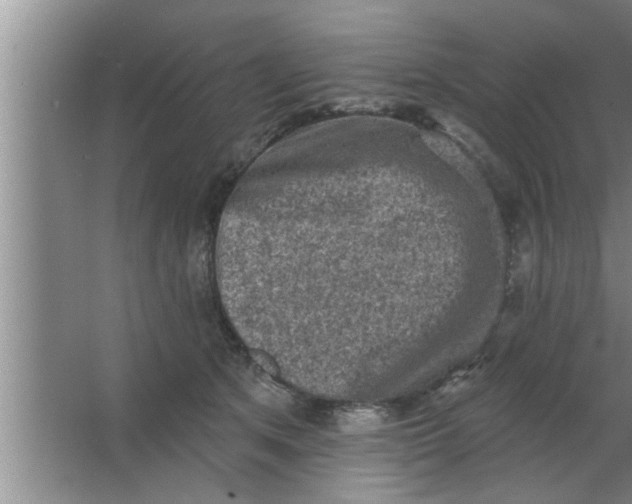 X0000063480513200602031929