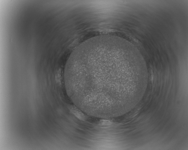 X0000063480519200602031929