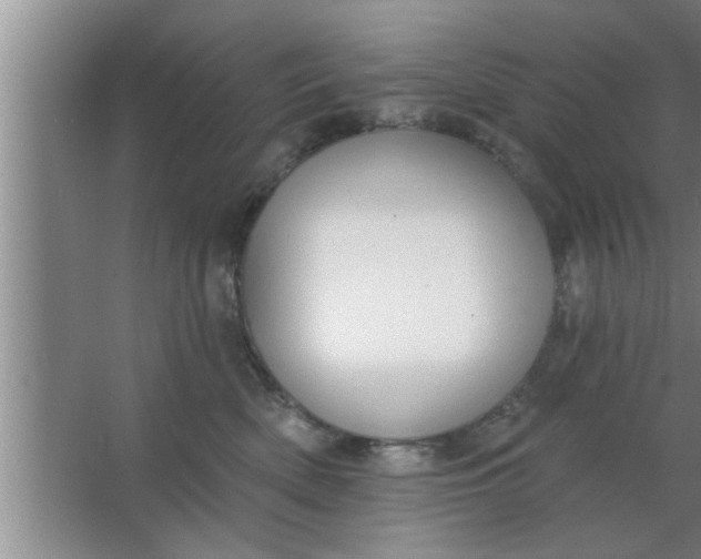 X0000063480522200602031929