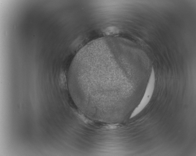 X0000063480523200602031929