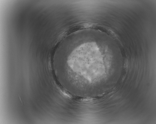 X0000063480524200602031929