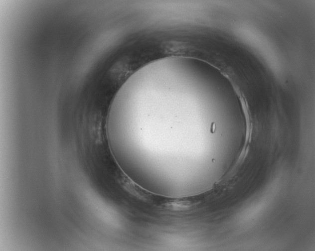 X0000063480525200602031929