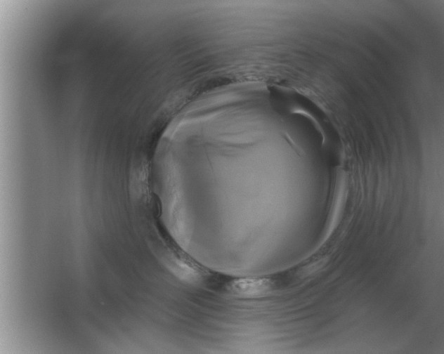 X0000063480526200602031929