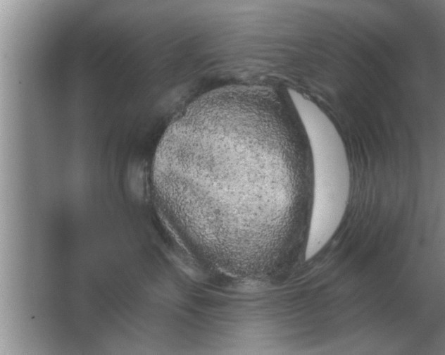 X0000063480527200602031929