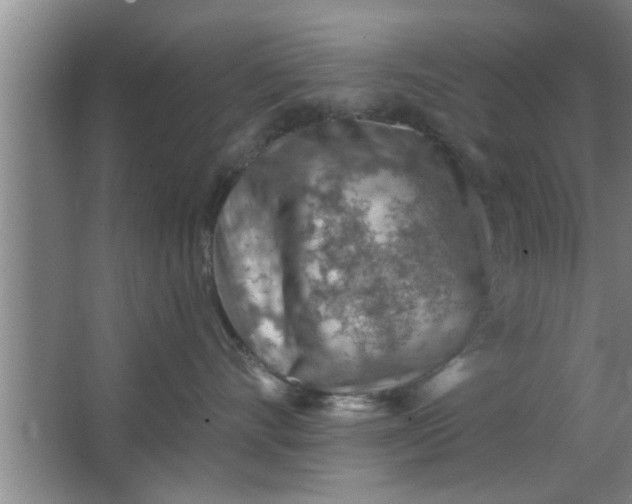 X0000063480528200602031929