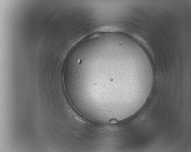 X0000063480529200602031928