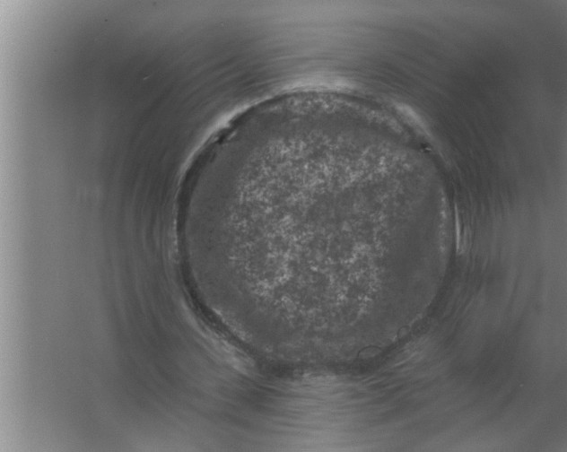 X0000063480531200602031928