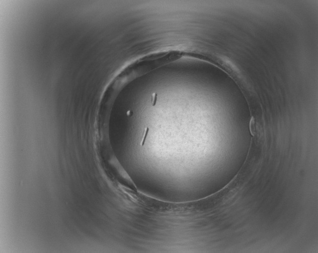 X0000063480532200602031928