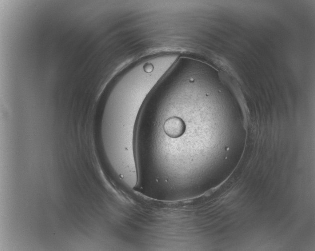 X0000063480534200602031928