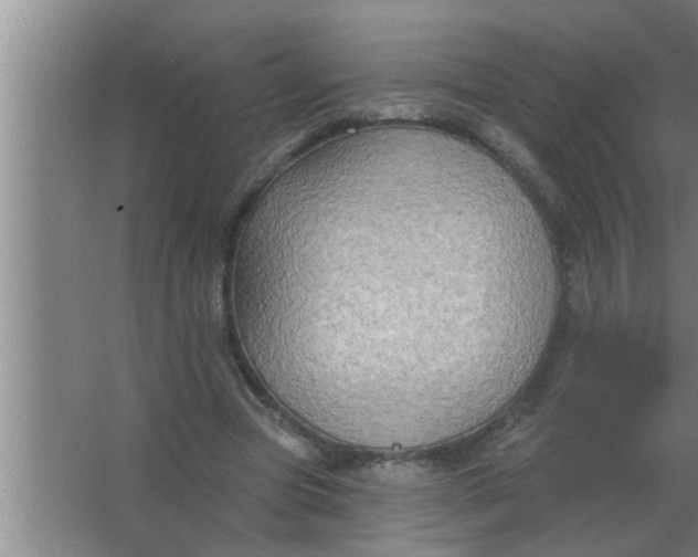 X0000063480537200602031928