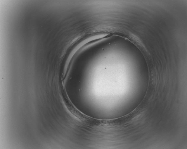 X0000063480538200602031928