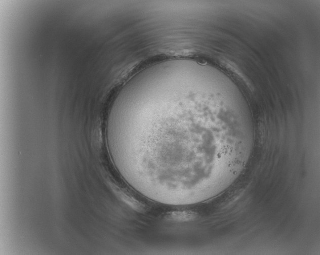 X0000063480541200602031928