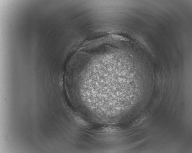 X0000063480545200602031928