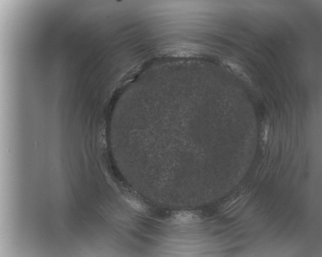 X0000063480547200602031928