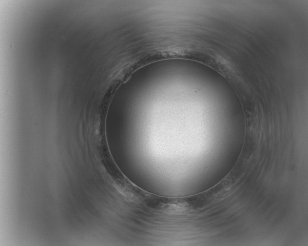 X0000063480548200602031928