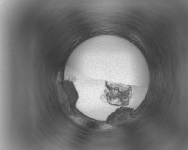 X0000063480549200602031928