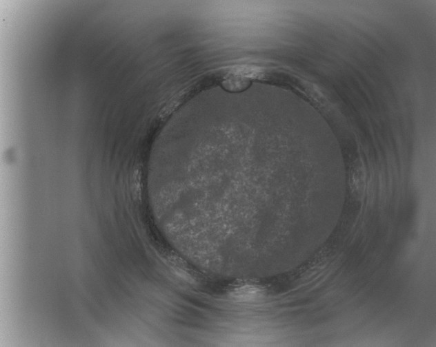 X0000063480551200602031928