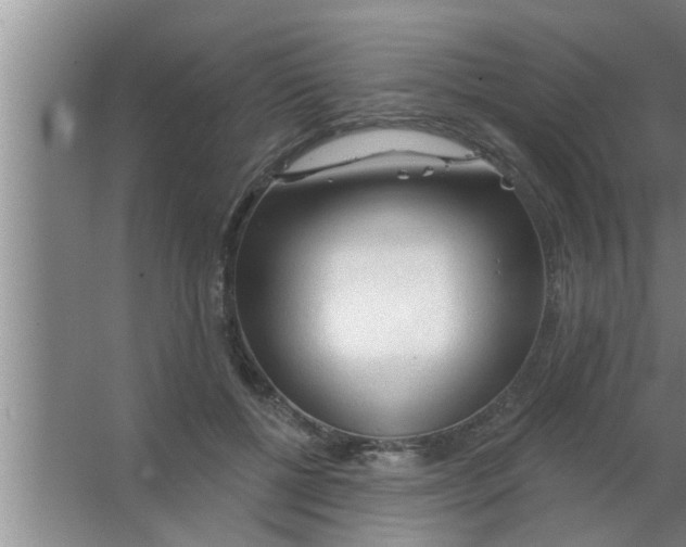 X0000063480552200602031928