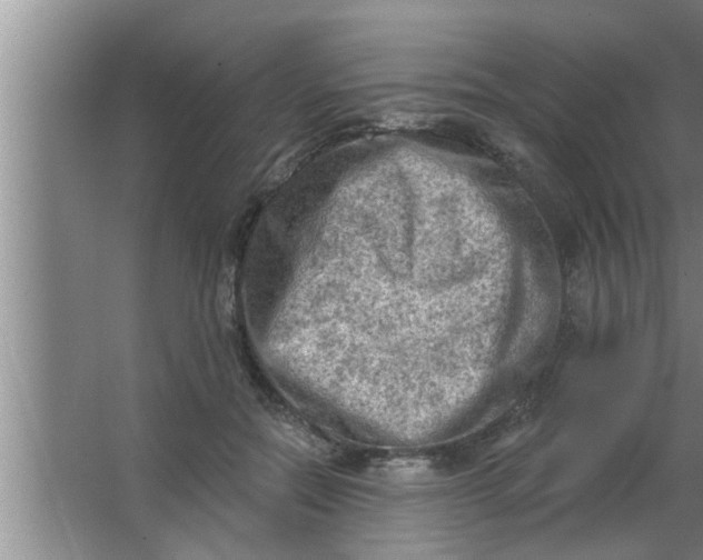 X0000063480554200602031928