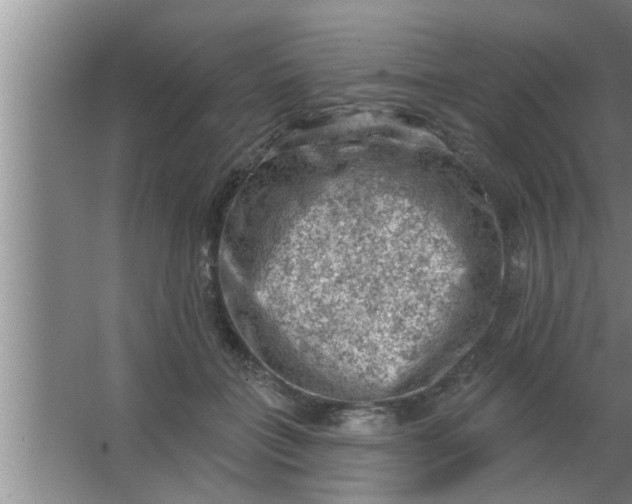 X0000063480555200602031928