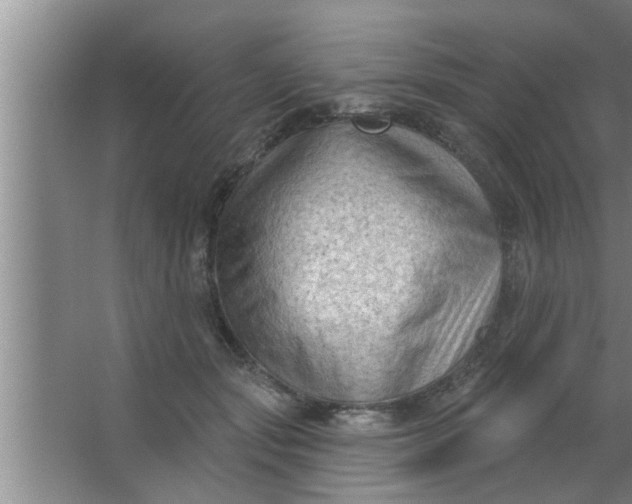 X0000063480557200602031928