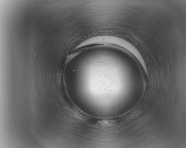 X0000063480558200602031928