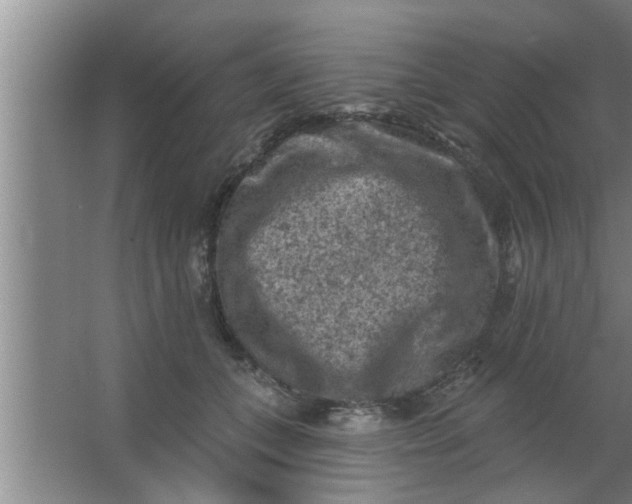 X0000063480559200602031928