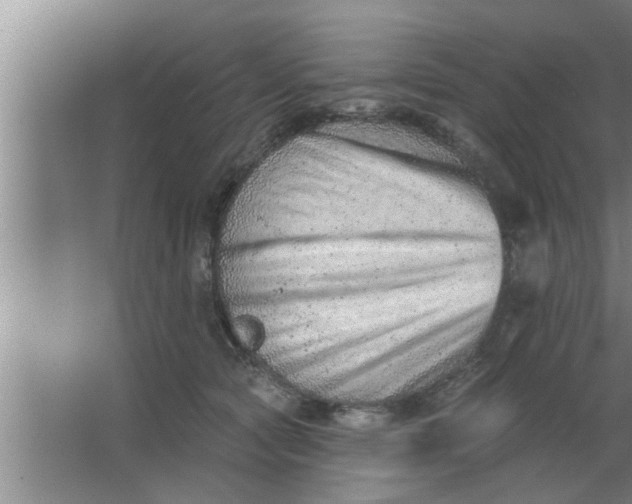 X0000063480561200602031928