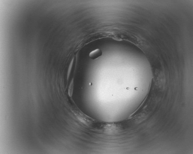 X0000063480562200602031928