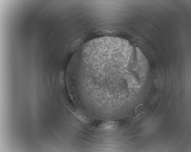 X0000063480563200602031928