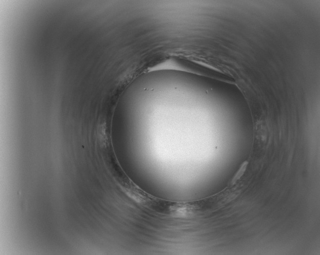 X0000063480564200602031928