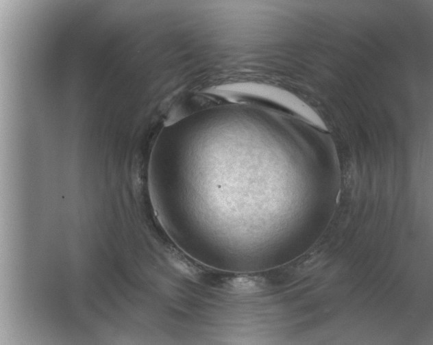 X0000063480566200602031929