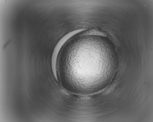 X0000063480576200602031929