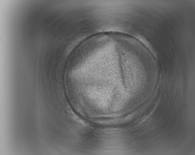 X0000063480577200602031928