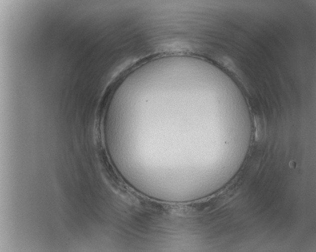 X0000063480579200602031928