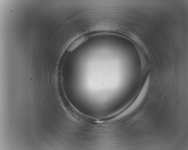 X0000063480580200602031928