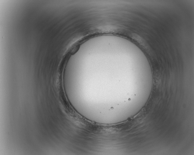 X0000063480583200602031928