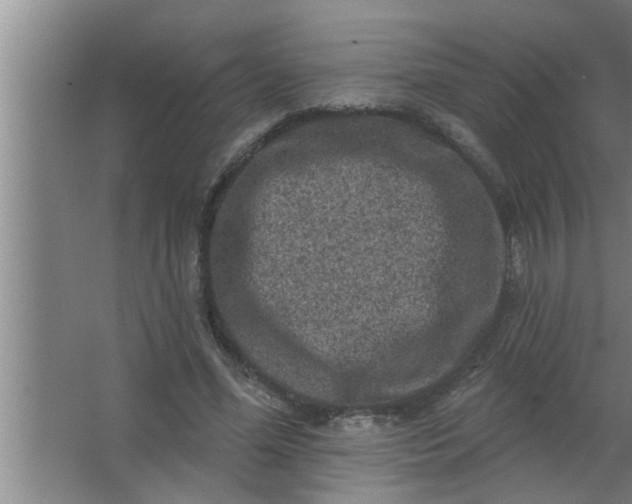 X0000063480588200602031928