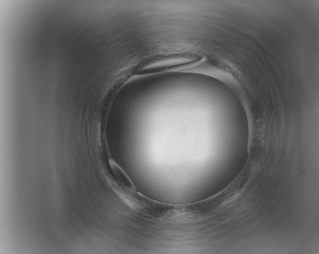 X0000063480589200602031928