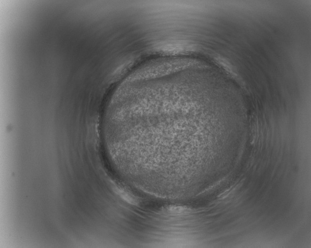 X0000063480590200602031928