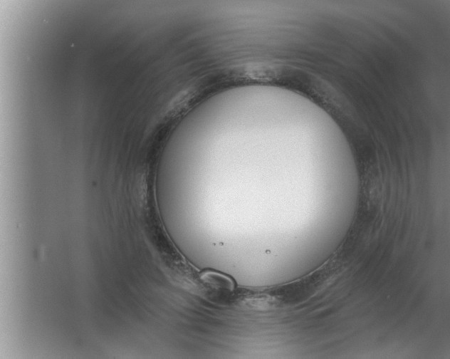 X0000063480595200602031928