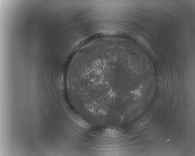 X0000063480596200602031928