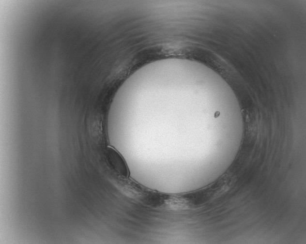 X0000063480603200602031927