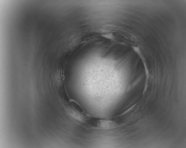 X0000063480605200602031927