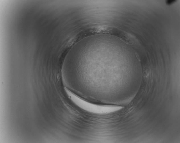 X0000063480607200602031927