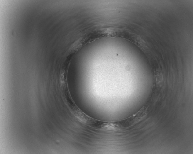 X0000063480611200602031927